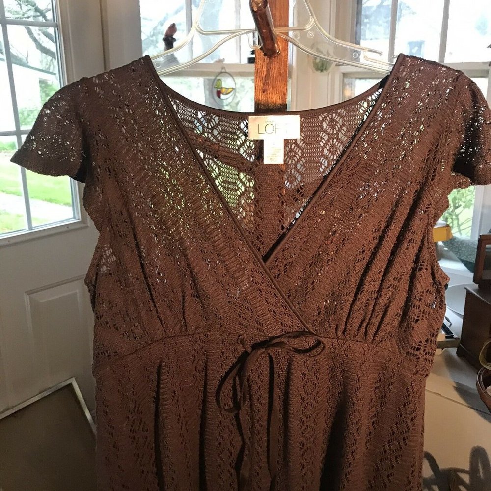 Ann Taylor Loft 4 Crochet Brown Knit Dress